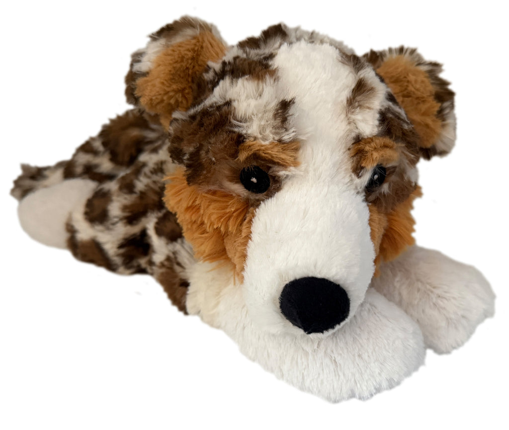 AUSTRALIAN SHEPHERD Classic