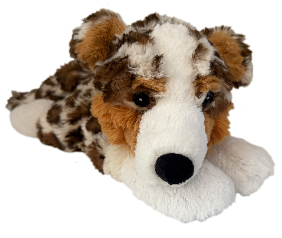 AUSTRALIAN SHEPHERD Classic