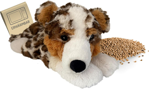 AUSTRALIAN SHEPHERD Classic