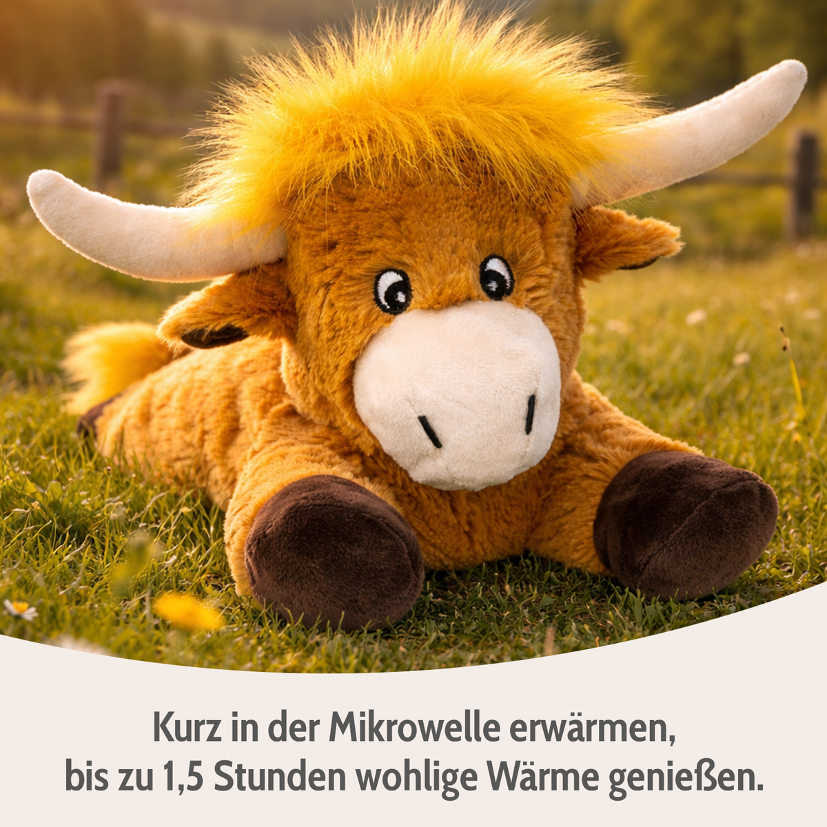HOCHLANDRIND Premium
