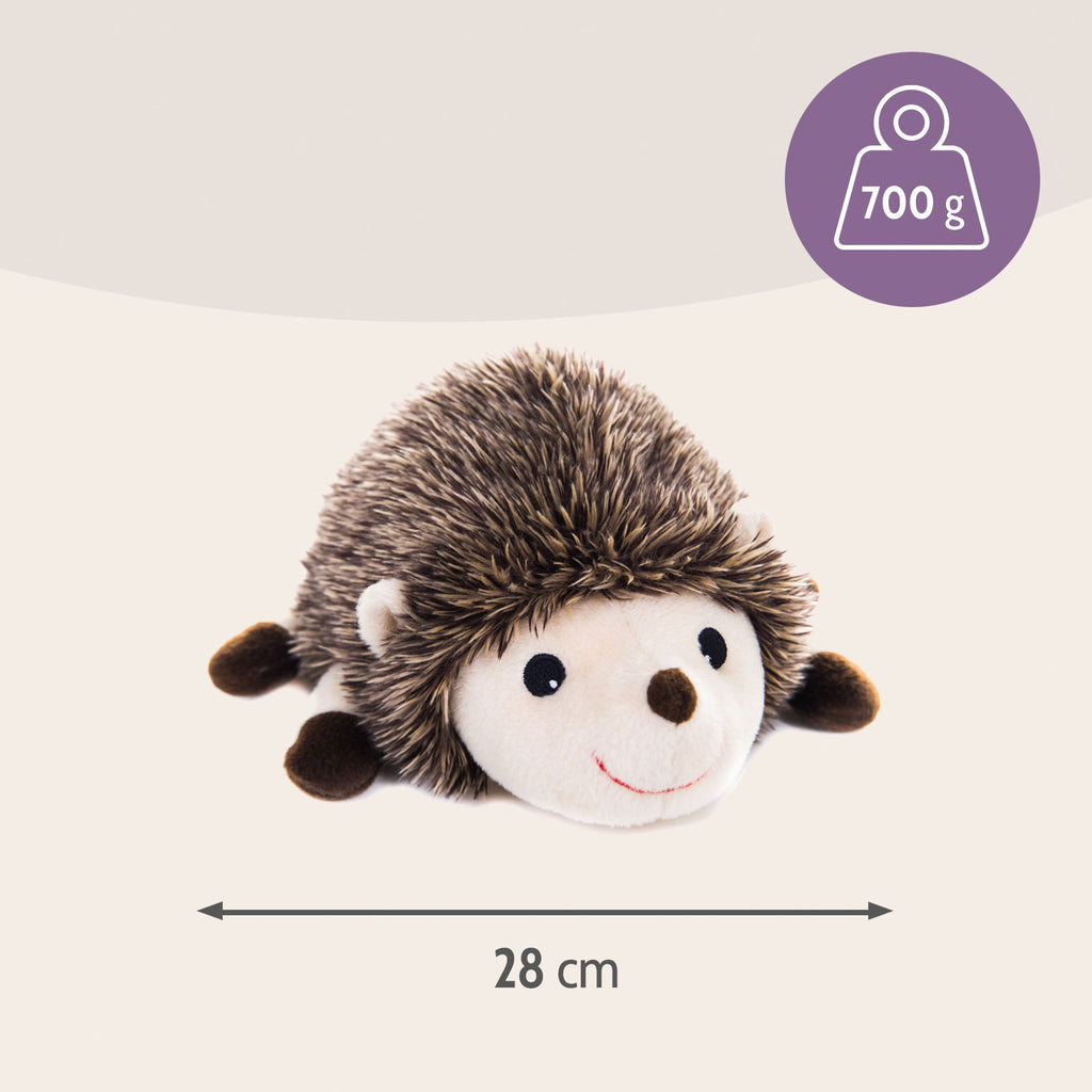 IGEL Premium