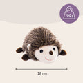 IGEL Premium